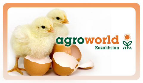 AgroWorld